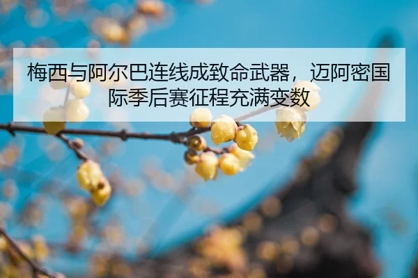 mei-xi-yu-a-er-ba-lian-xian-cheng-zhi-ming-wu-qi-mai-a-mi-guo-ji-ji-hou-sai-zheng-cheng-chong-man-bian-shu-2-948.jpg