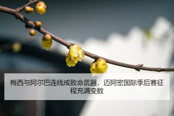 mei-xi-yu-a-er-ba-lian-xian-cheng-zhi-ming-wu-qi-mai-a-mi-guo-ji-ji-hou-sai-zheng-cheng-chong-man-bian-shu-3-434.jpg