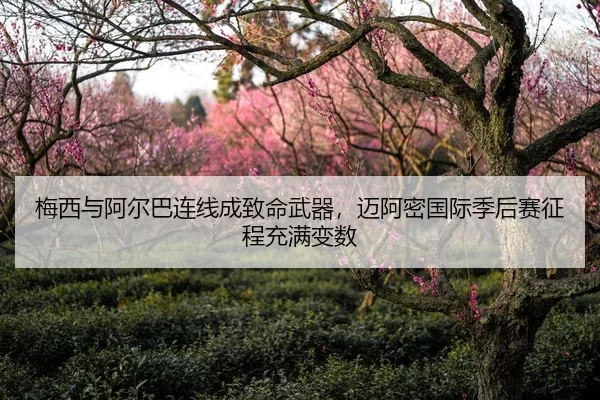 梅西与阿尔巴连线成致命武器，迈阿密国际季后赛征程充满变数
