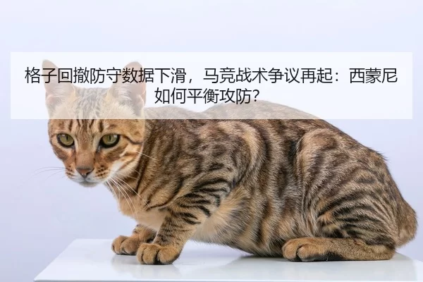 ge-zi-hui-che-fang-shou-shu-ju-xia-hua-ma-jing-zhan-shu-zheng-yi-zai-qi-xi-meng-ni-ru-he-ping-heng-gong-fang-2-924.jpg