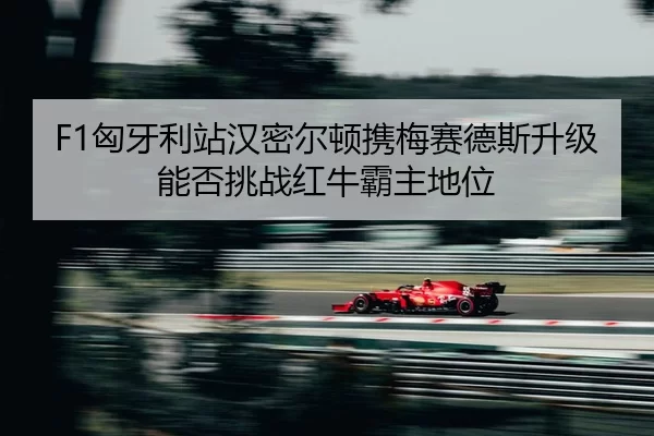 xiong-ya-li-zhan-han-mi-er-dun-xie-mei-sai-de-si-sheng-ji-neng-fou-tiao-zhan-hong-niu-ba-zhu-di-wei-2-794.jpg