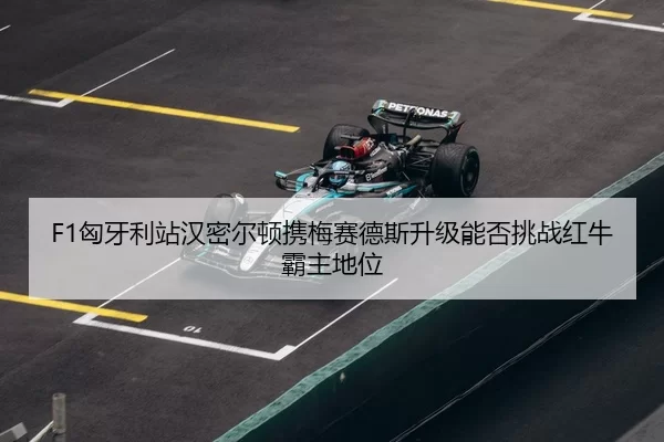 xiong-ya-li-zhan-han-mi-er-dun-xie-mei-sai-de-si-sheng-ji-neng-fou-tiao-zhan-hong-niu-ba-zhu-di-wei-3-769.jpg