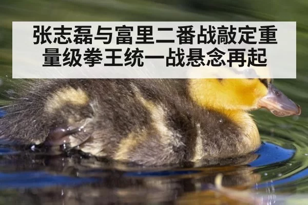 张志磊与富里二番战敲定重量级拳王统一战悬念再起