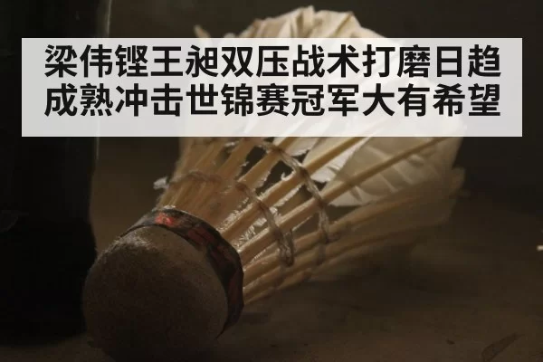 梁伟铿王昶双压战术打磨日趋成熟冲击世锦赛冠军大有希望
